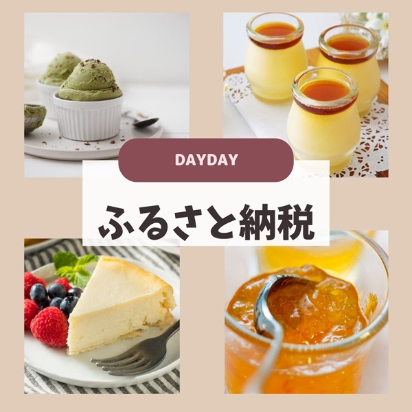 DayDay ふるさと納税