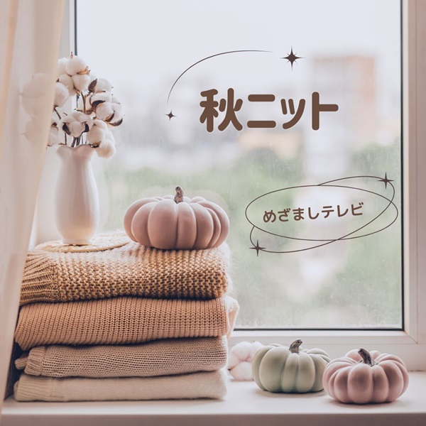 めざましテレビ イマドキ 秋ニット