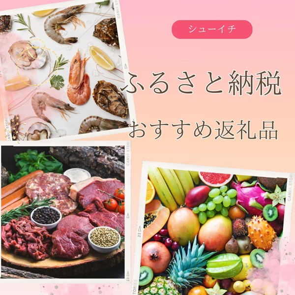 シューイチ ふるさと納税