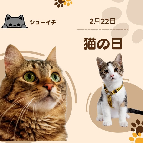 シューイチ 猫の日