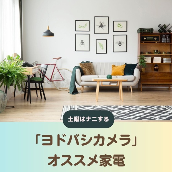 土曜はナニする ヨドバシカメラ