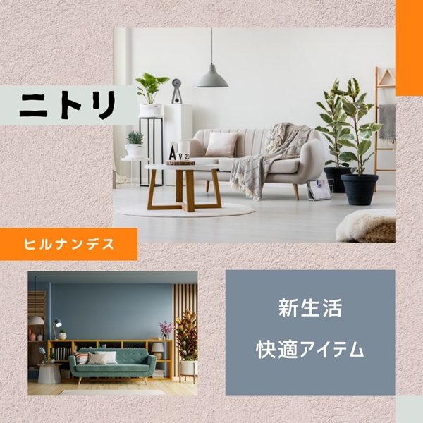 ヒルナンデス ニトリ