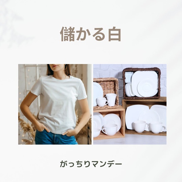 がっちりマンデー 白