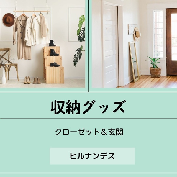 ヒルナンデス 収納グッズ