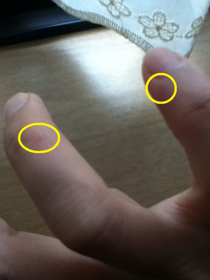 f:id:happyhappy28:20170916101221j:plain