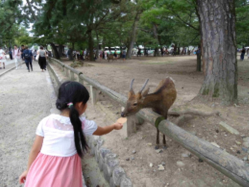 f:id:happyhappy28:20180918091330j:plain