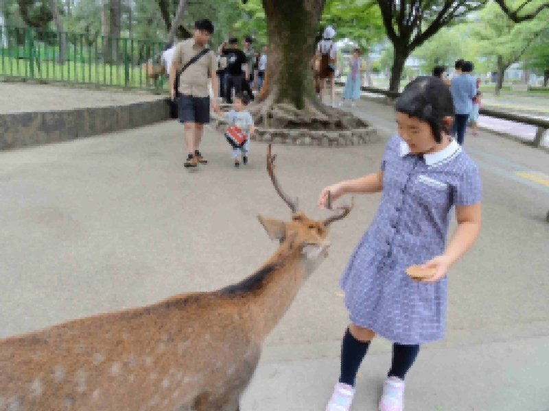 f:id:happyhappy28:20180918091339j:plain