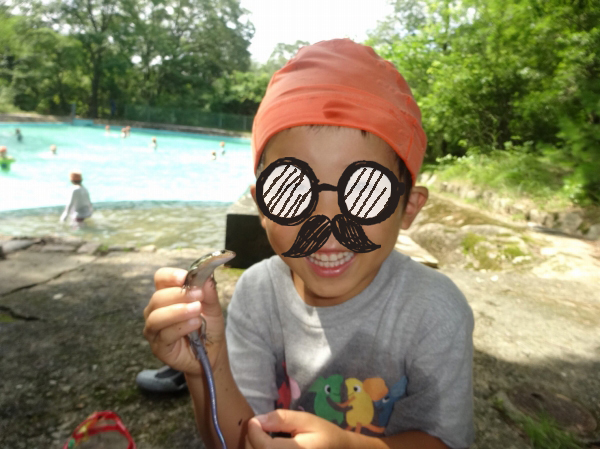 f:id:happyhappysan:20180716140522j:plain f:id:happyhappysan:20180716140522j:plain