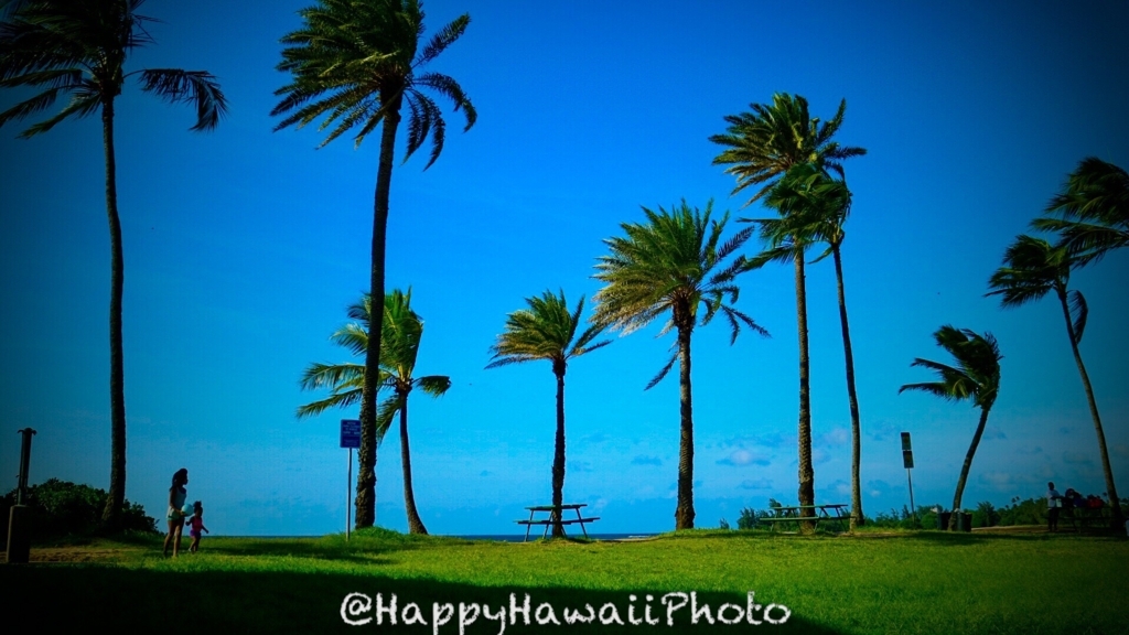 f:id:happyhawaiiphoto:20171207003339j:plain