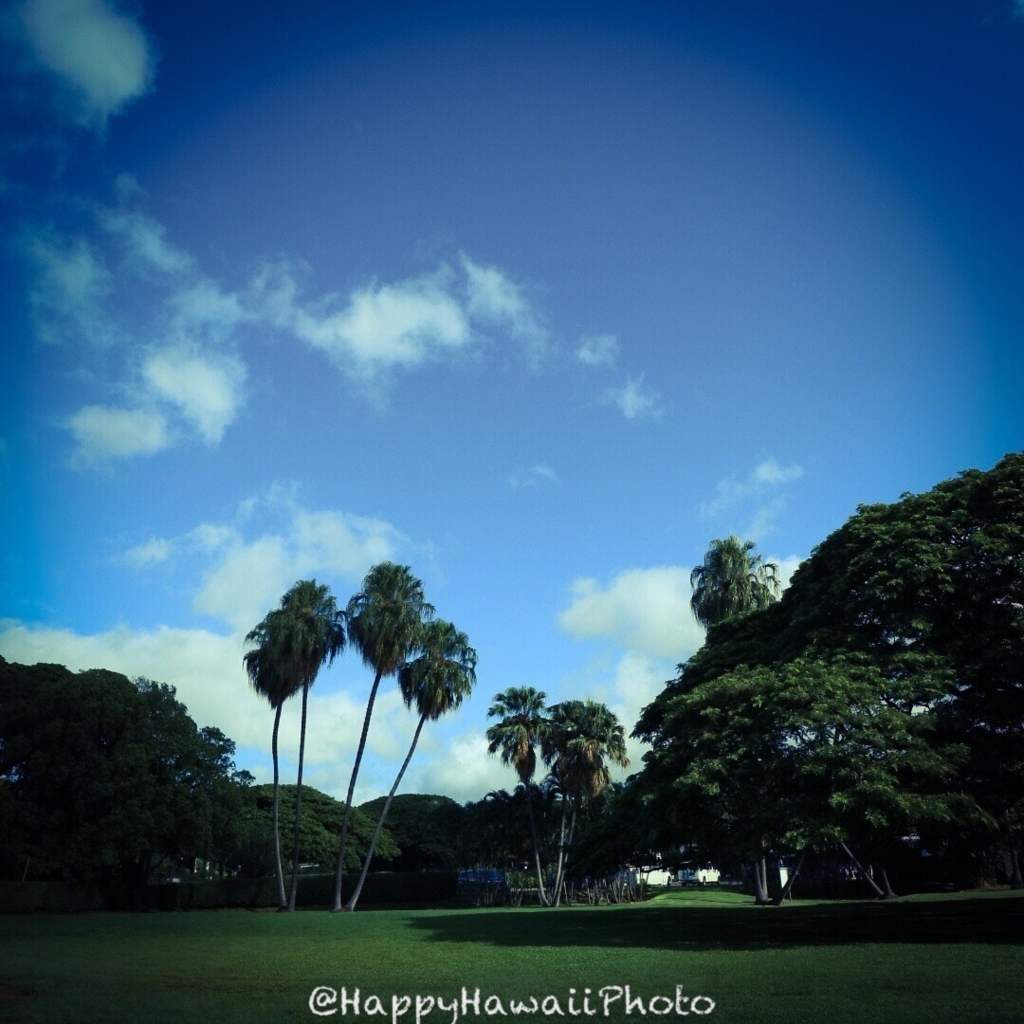 f:id:happyhawaiiphoto:20171208233321j:plain