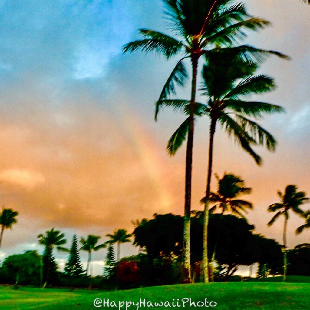 f:id:happyhawaiiphoto:20180206000104j:plain