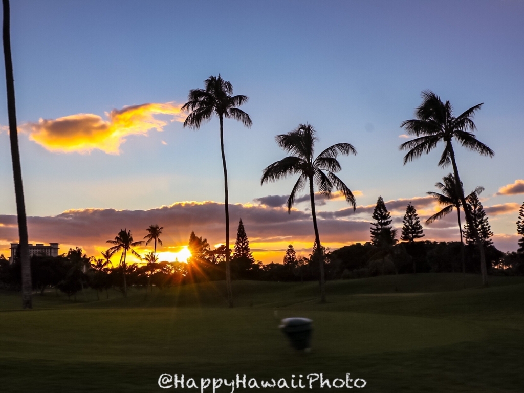 f:id:happyhawaiiphoto:20180206000427j:plain