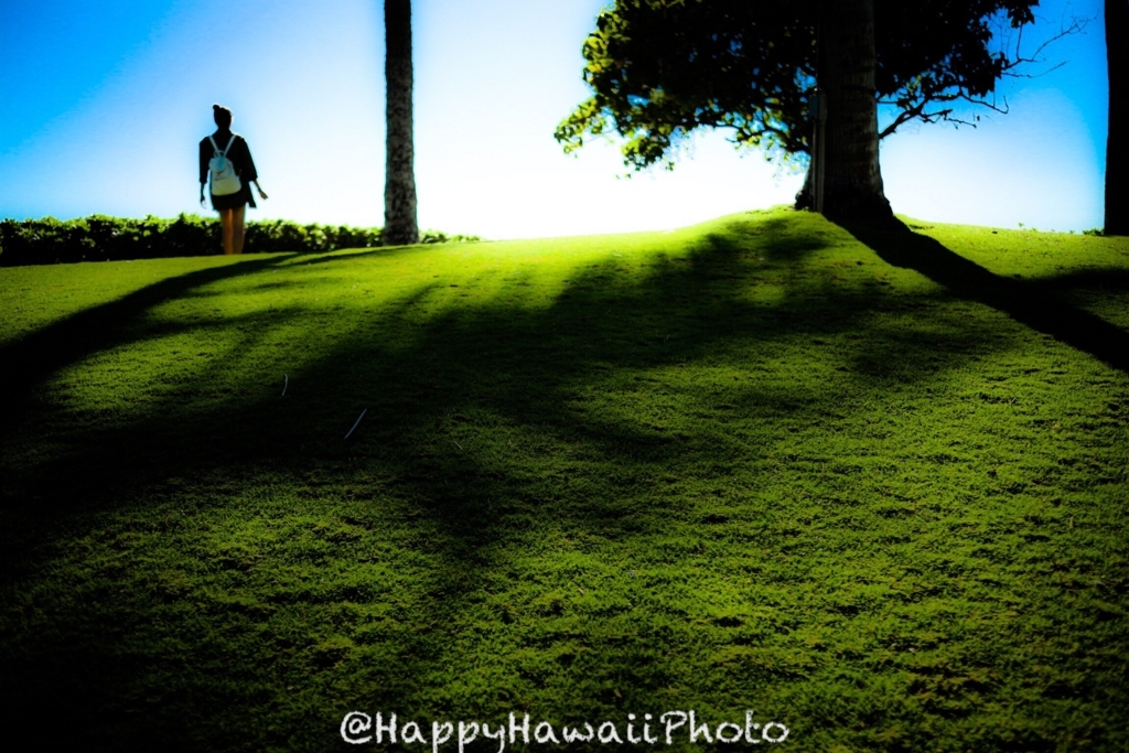 f:id:happyhawaiiphoto:20180325230126j:plain