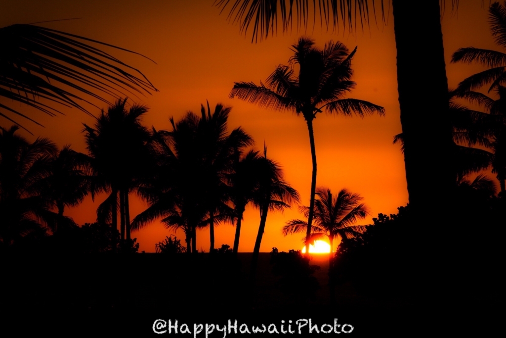 f:id:happyhawaiiphoto:20180329235337j:plain