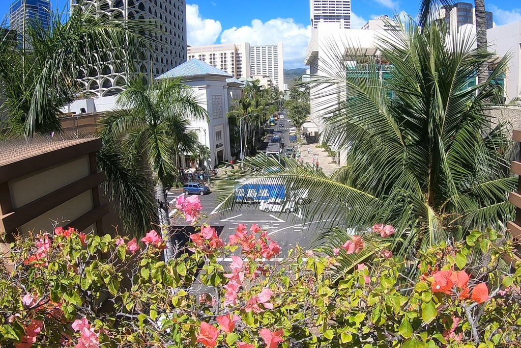f:id:happyhawaiiphoto:20180917203133j:plain