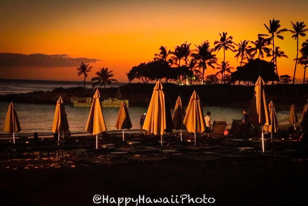 f:id:happyhawaiiphoto:20181204225242j:plain