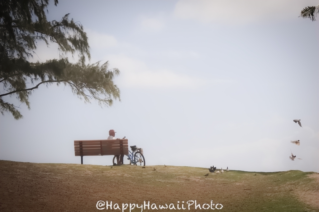 f:id:happyhawaiiphoto:20181208000944j:plain f:id:happyhawaiiphoto:20181208000944j:plain