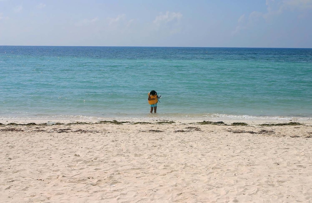 f:id:happyhawaiiphoto:20190118230532j:plain