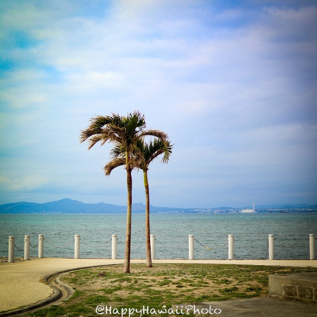 f:id:happyhawaiiphoto:20190216223705j:plain