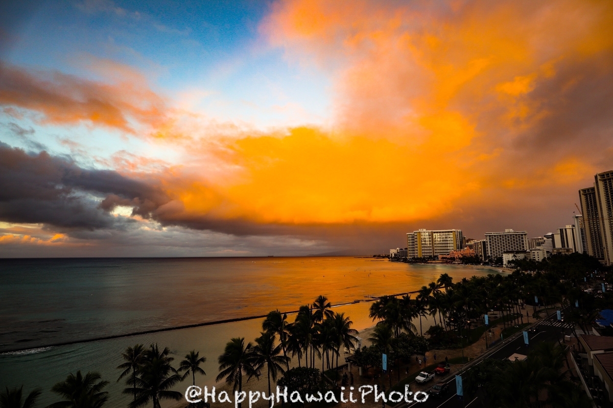 f:id:happyhawaiiphoto:20190323215257j:plain