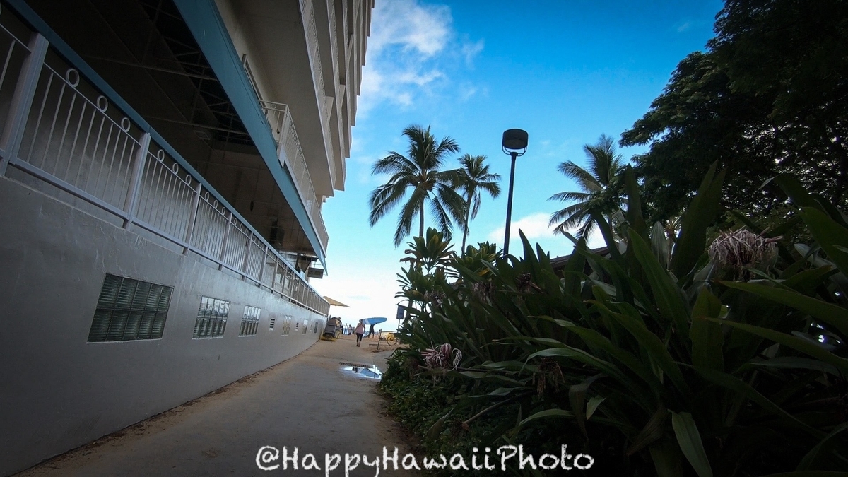 f:id:happyhawaiiphoto:20190412000256j:plain