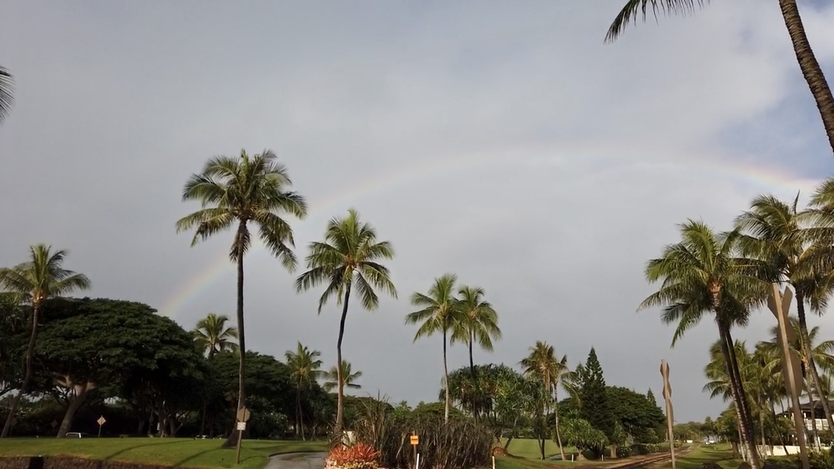 ハワイ旅行の思い出 アウラニ4日目 朝はのんびりと散歩 Happy Hawaii Photo ハワイ旅行の思い出 アウラニ4日目 朝はのんびりと散歩 Happy Hawaii Photo