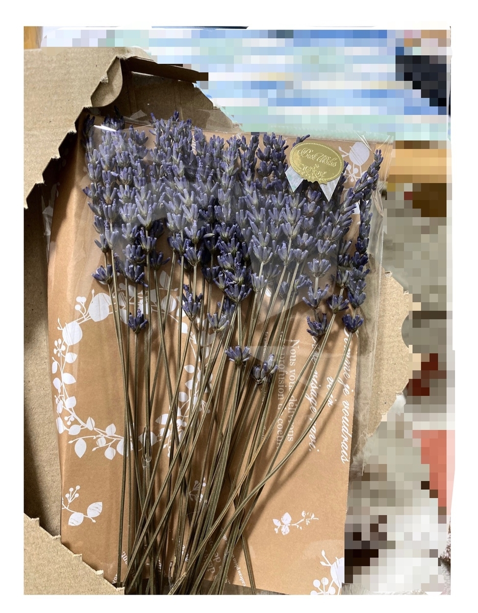 f:id:happyhedgehog:20220119215009j:plain