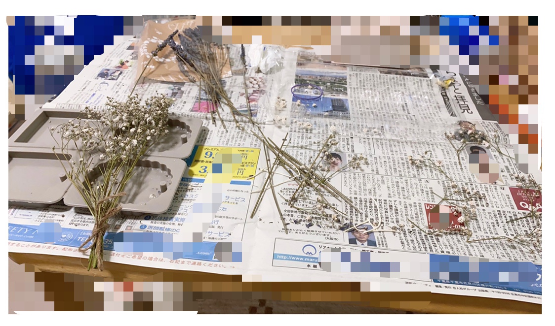 f:id:happyhedgehog:20220119215454j:plain