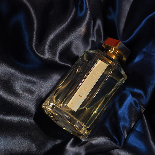 f:id:happyinkdays:20210310214724j:plain