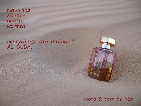 f:id:happyinkdays:20210313214529j:plain