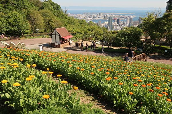 神戸布引ハーブ園　風の丘芝生広場からの景色