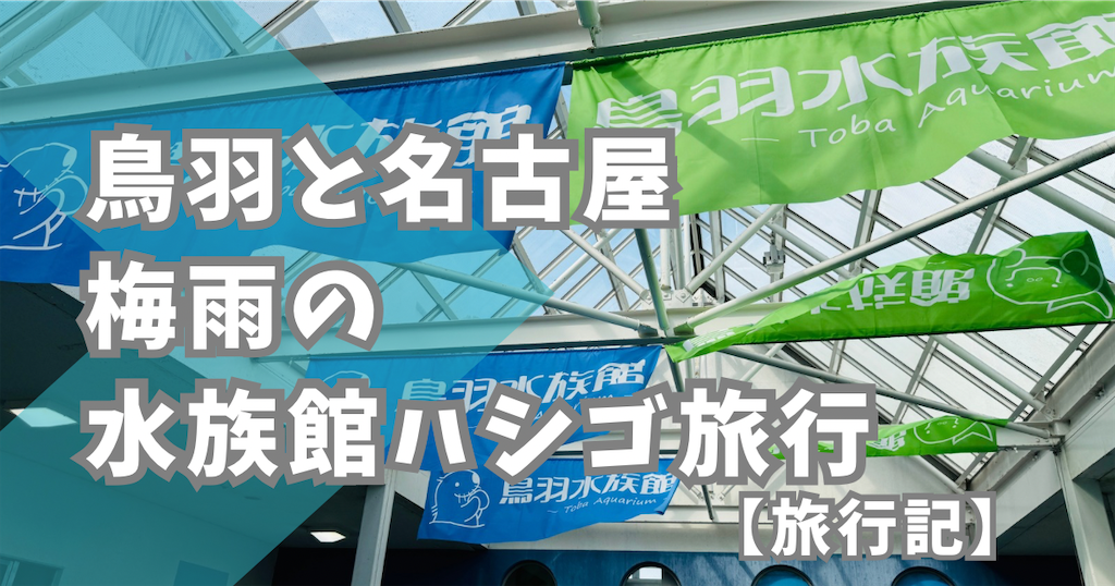 f:id:happylemolemonade:20240729004803p:image