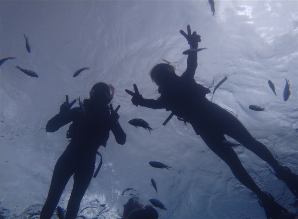 f:id:happylife84:20181003143445j:image