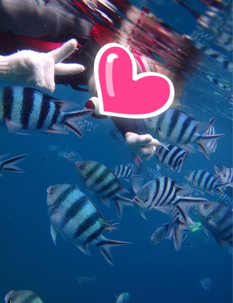 f:id:happylife84:20181003143548j:image