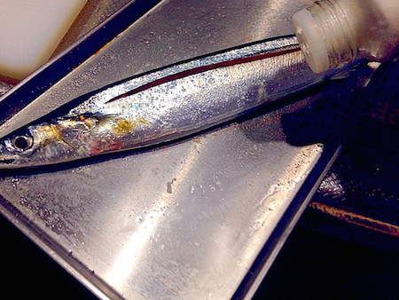 f:id:happylife_me:20160924005046j:plain