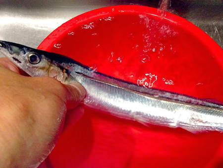 f:id:happylife_me:20160924005047j:plain