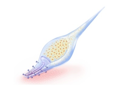 f:id:happylife_me:20161026000914j:plain f:id:happylife_me:20161026000914j:plain