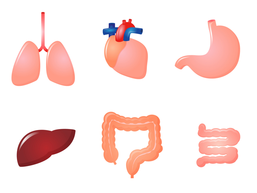 f:id:happylife_me:20161216143328j:plain