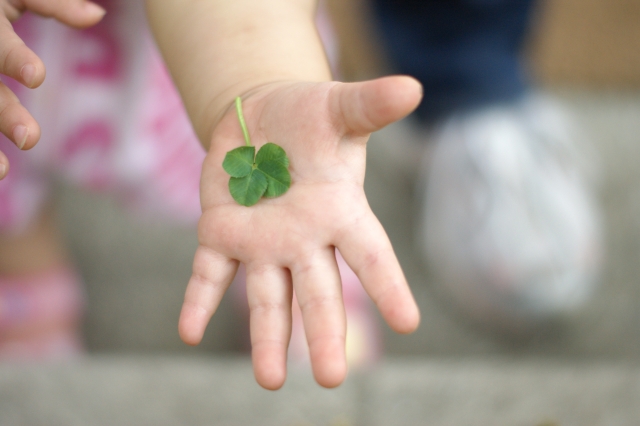 f:id:happylife_me:20170113051842j:plain