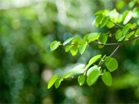 f:id:happylife_me:20170115133040j:plain