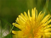 f:id:happylife_me:20170115133113j:plain