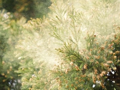 f:id:happylife_me:20170323140603j:plain f:id:happylife_me:20170323140603j:plain