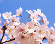 f:id:happylife_me:20170401110104j:plain