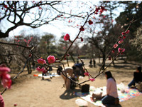 f:id:happylife_me:20170401125429j:plain f:id:happylife_me:20170401125429j:plain