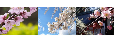 f:id:happylife_me:20170401125525j:plain f:id:happylife_me:20170401125525j:plain