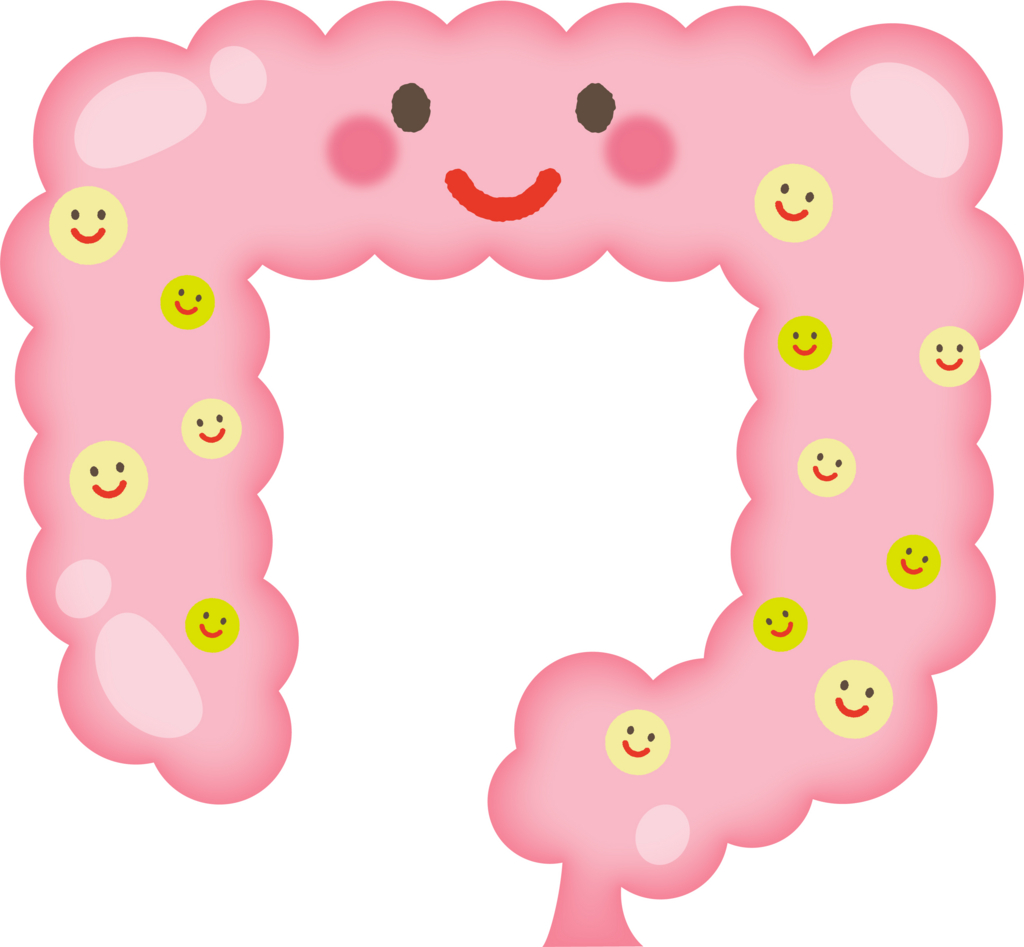 f:id:happylife_me:20170516051807j:plain f:id:happylife_me:20170516051807j:plain