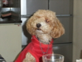 20100401214922