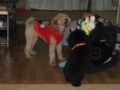 20100401215614