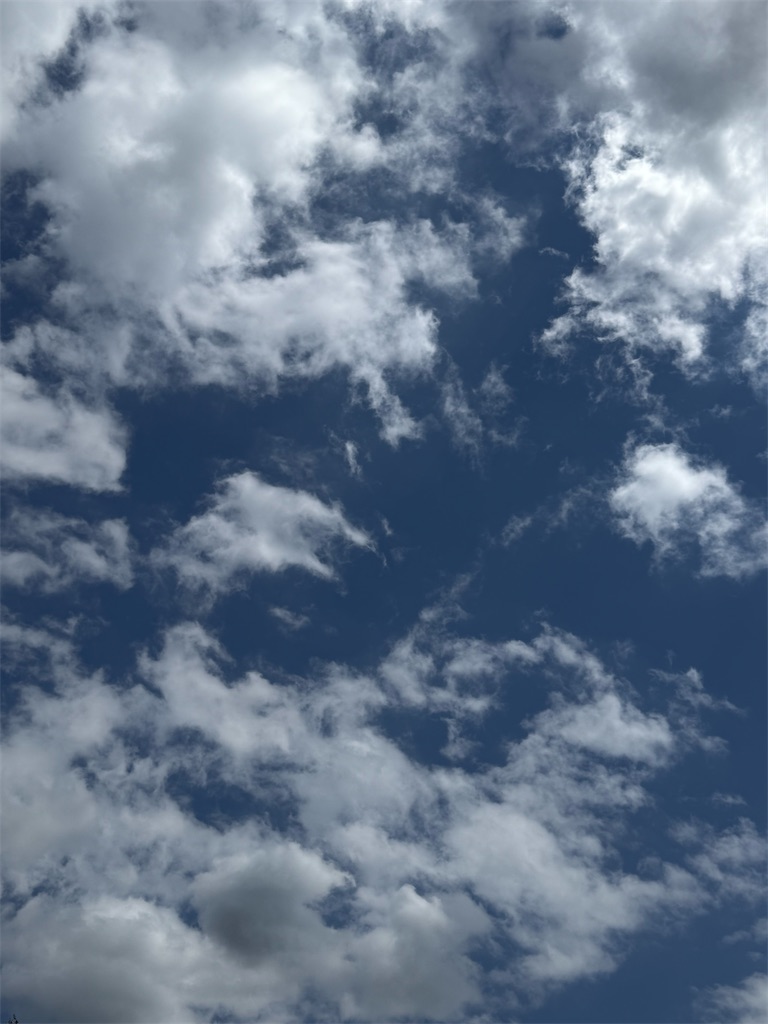 f:id:happymaron:20260611225930j:image f:id:happymaron:20260611225930j:image