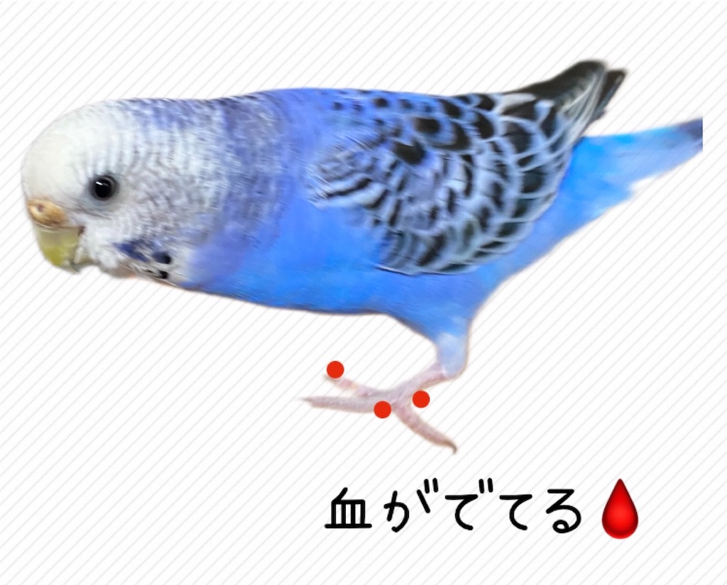 f:id:happymayalife:20210404140800j:plain